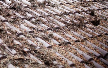 Ampton roof cleaning companies