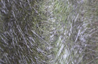 Ampton fibreglass roof work